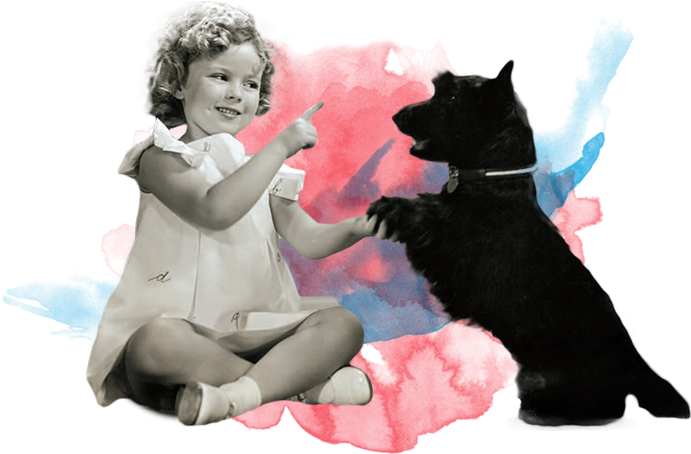 Show Support For Animals - Black Cat (701x458), Png Download