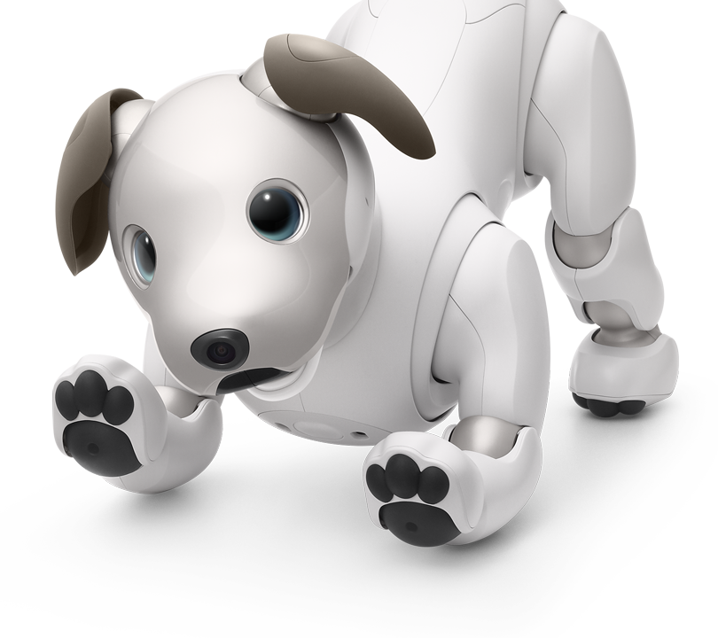 Robot Dog (810x720), Png Download