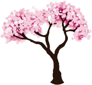 Drawn Cherry Blossom Transparent - Cherry Tree Drawing Easy (640x480), Png Download