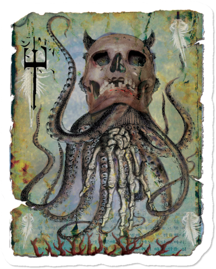Pulpo $3 - Skull (650x650), Png Download