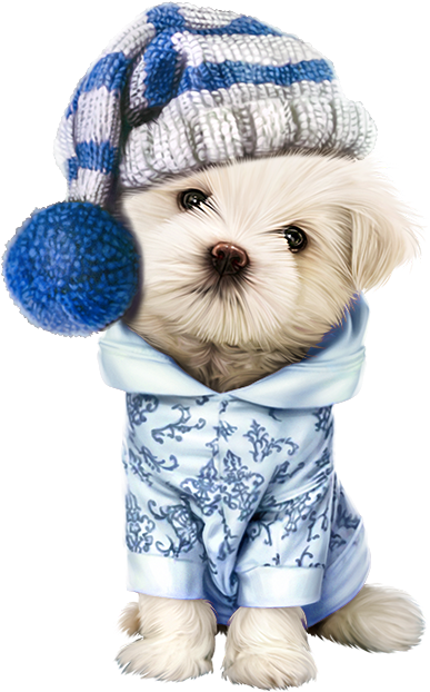 Yorky, Motifs Animal, Cute Clipart, Decoupage, Christmas - Christmas Cute Dogs Clipart (450x698), Png Download