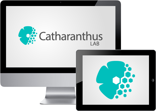 Catharanthus Lab - Graphic Design (650x500), Png Download