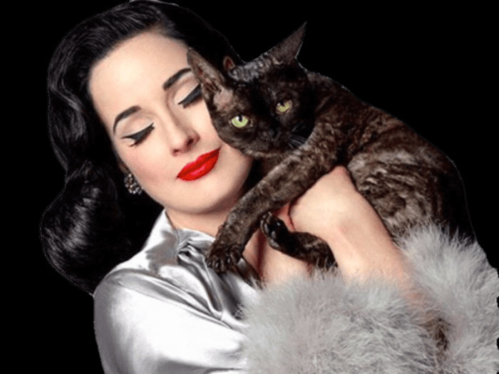 The Latest Celebrity, Free Transparent Png Images - Dita Von Teese Aleister Von Teese (700x525), Png Download