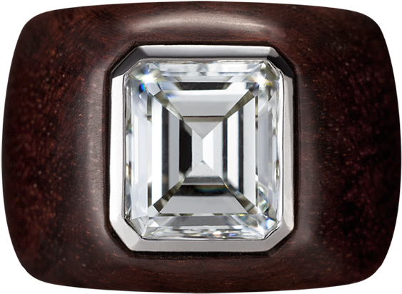 White Door - Ring (972x972), Png Download