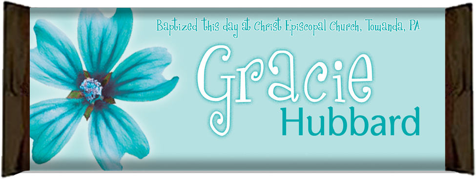 Livro Amor E Respeito (1000x413), Png Download