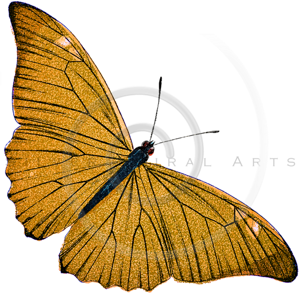 Silver Spiral Arts (600x600), Png Download