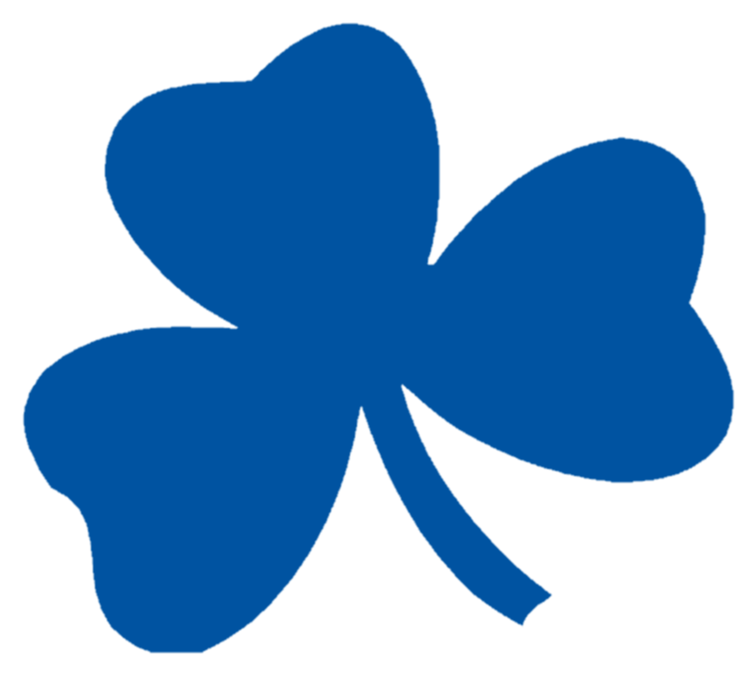 Detroit Catholic Central Shamrocks (765x687), Png Download