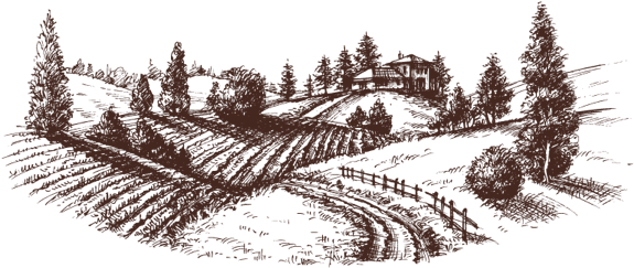 In 2006, The Roma Family Decided To Look For A Type - Etched Landscape (750x442), Png Download