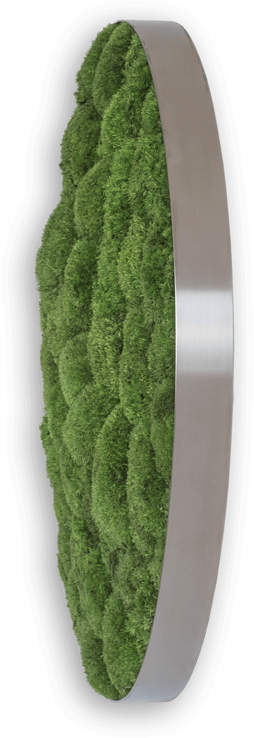 Pole Moss Circle 80cm - Artificial Turf (546x1500), Png Download