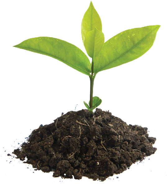 Find Out More - Iniciacion A La Actividad Emprendedora Y Empresarial (542x660), Png Download