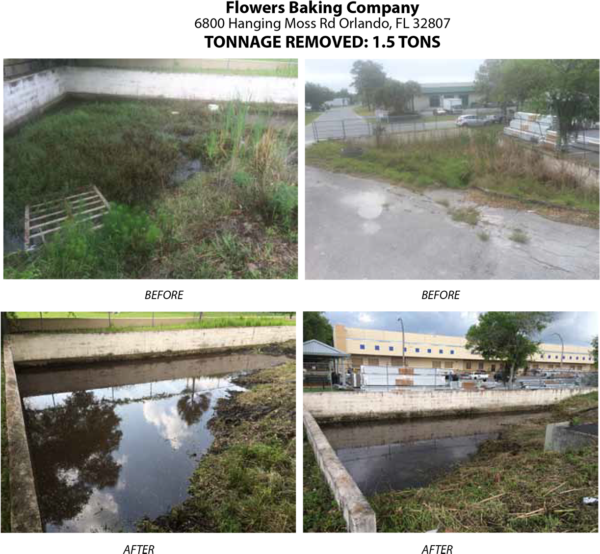 Florida Pond Cleaning Before And After Seven - Freshwater Marsh (1280x1195), Png Download