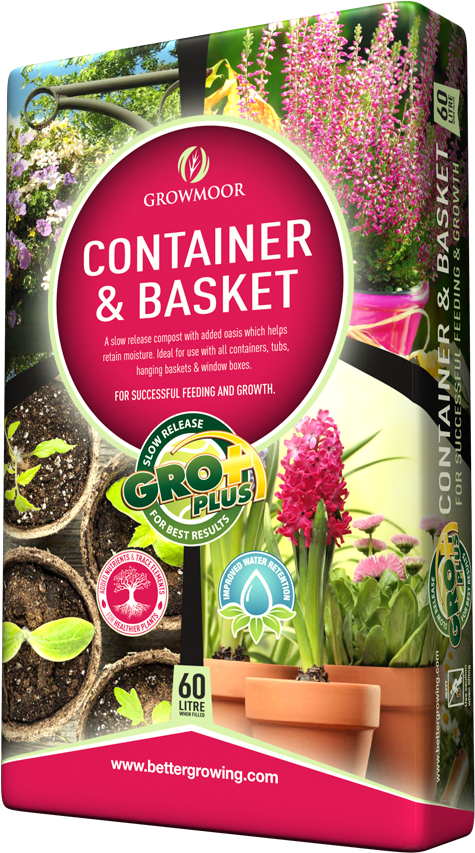 Verbena (750x895), Png Download