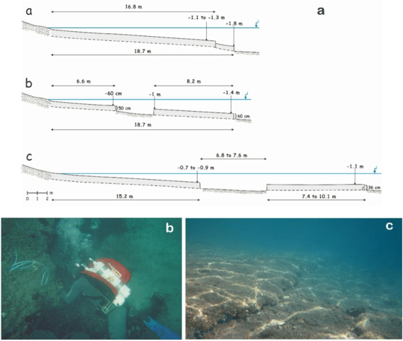 A) Submarine Transects From Agia Marina (br-7), (b) - Marine Biology (850x488), Png Download