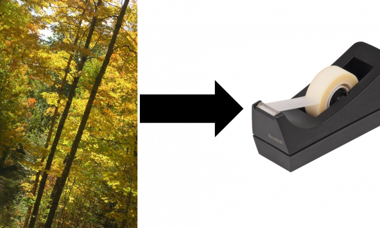 Follow Chembites - Tree (750x450), Png Download