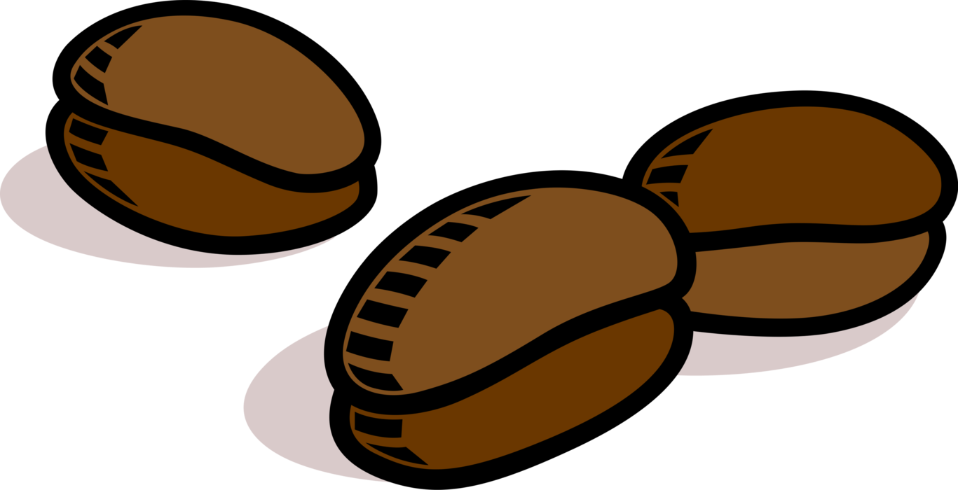 Vector Illustration Of Coffee Bean Seed Of The Coffee (1367x700), Png Download