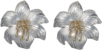 Chinese Hibiscus (640x640), Png Download