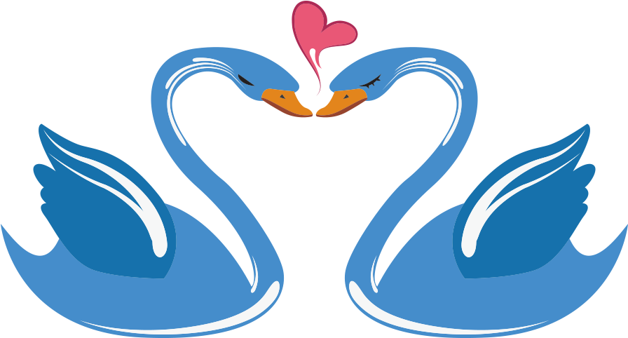Download Swan Love Cartoon - Enamorados Dibujos De Cisnes A Color PNG Image  with No Background 