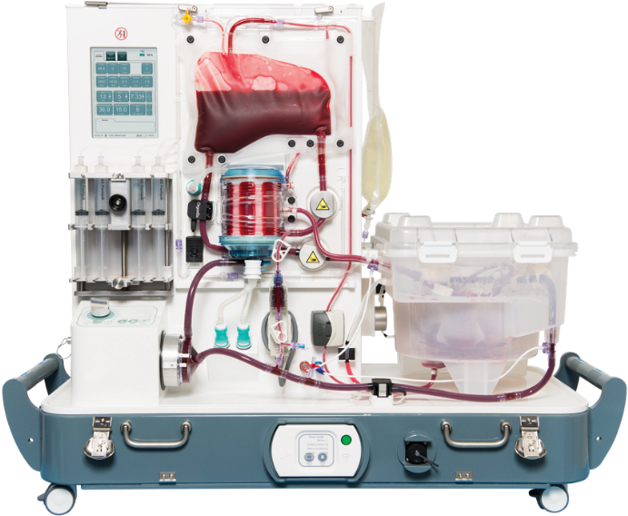 Picture1 - Normothermic Perfusion Liver (881x587), Png Download