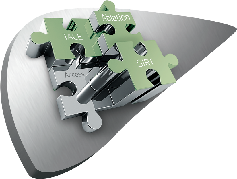 Treat Liver Cancer With Terumo - Cross (889x667), Png Download