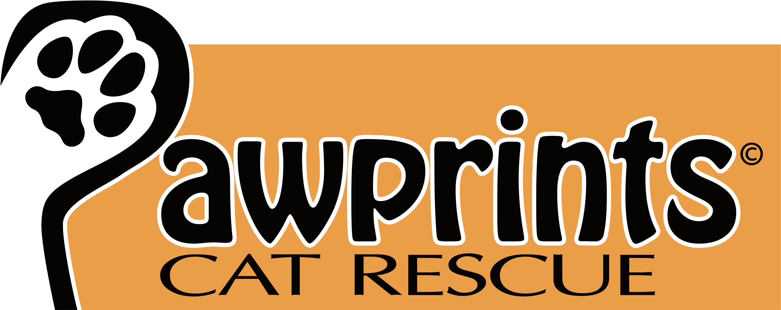 Pawprints Logo Landscape - Lentes De Contato Freshlook (2699x1099), Png Download