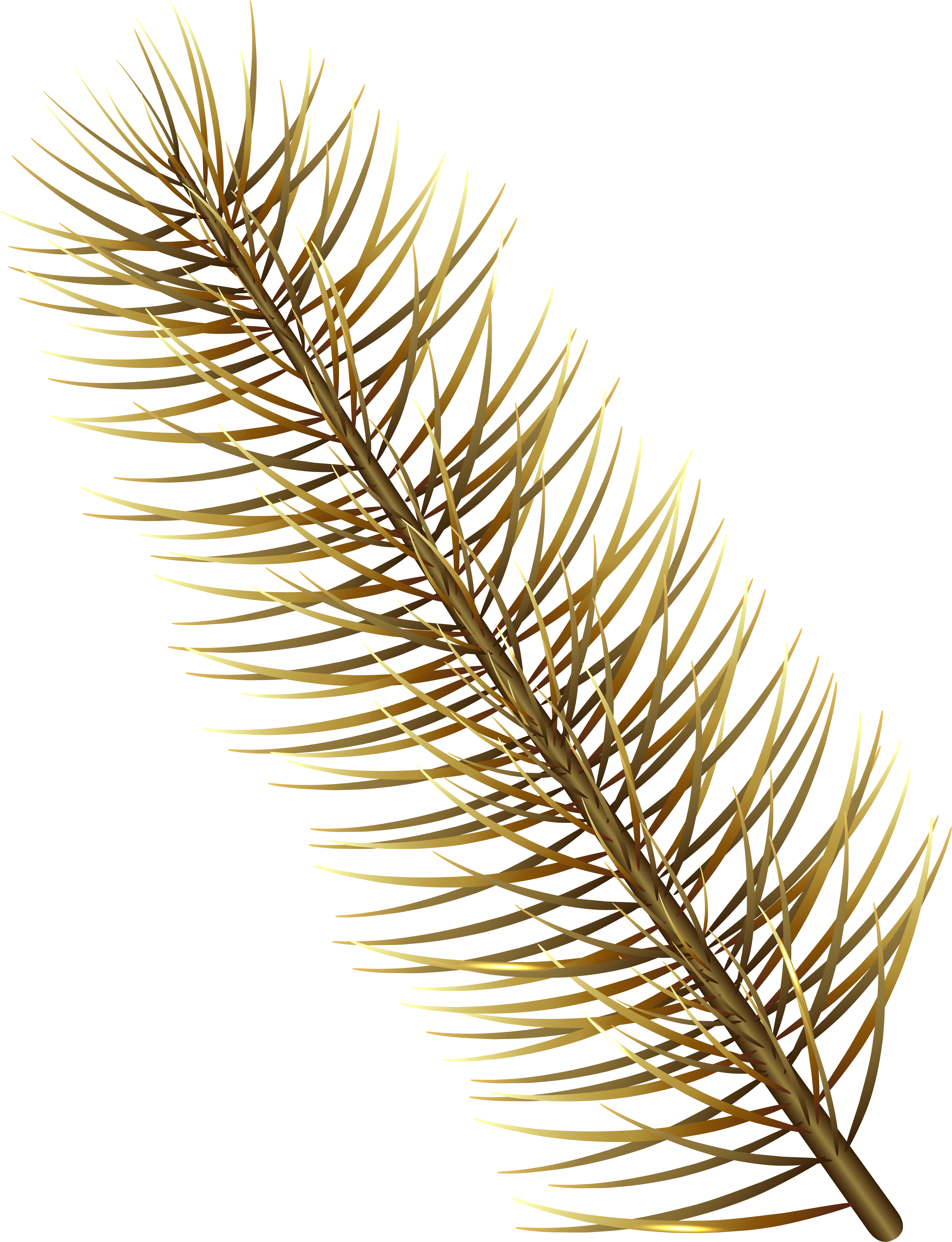 Gold Pine Branch Transparent Png Image (6161x8000), Png Download