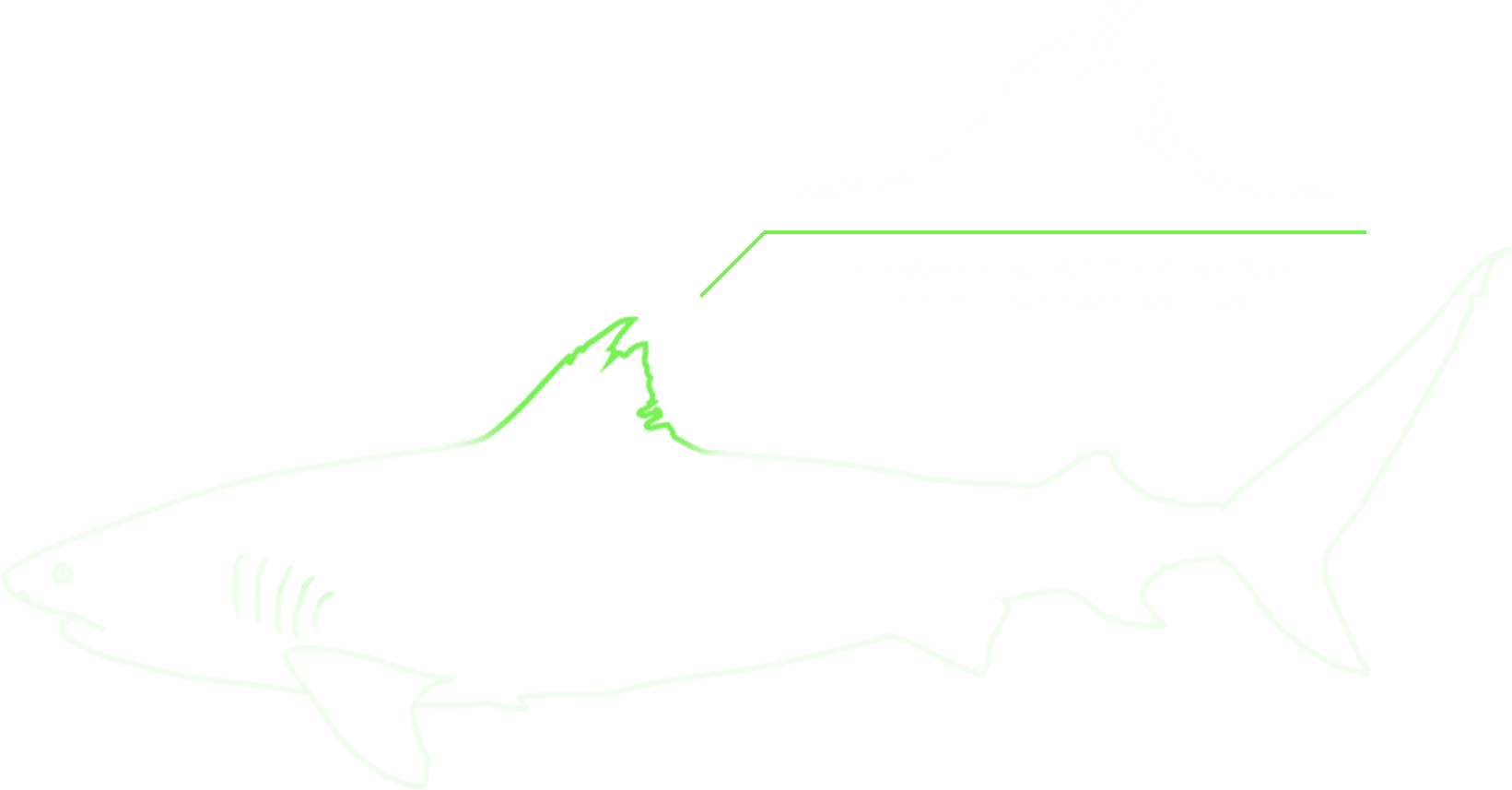 ＋ - Cat Fish (1849x941), Png Download