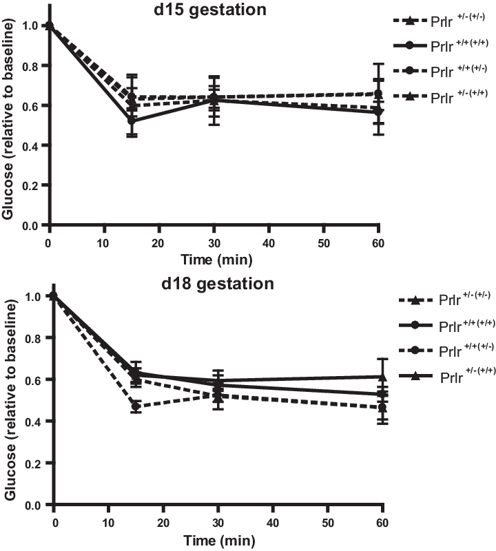 Vector Free Download Glucose Drawing Fetus - Diagram (720x800), Png Download