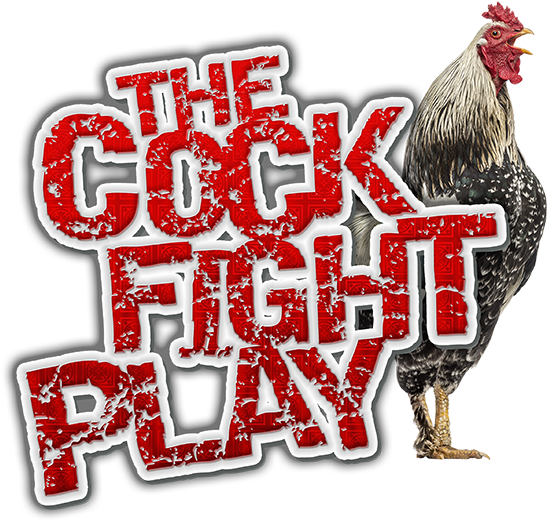 Pb Cockfight - Cock Fight (600x562), Png Download