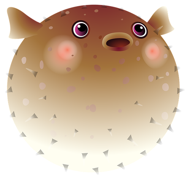 Puffer Fish Clipart Png (640x606), Png Download