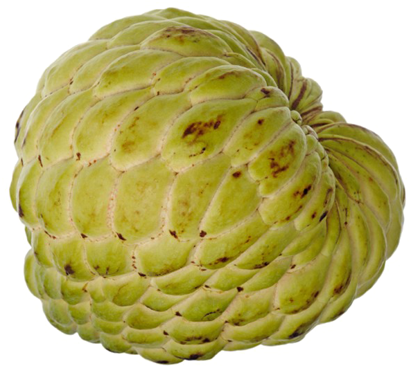 Sugar Apple Download Transparent Png Image - Sugar Apple Png (600x600), Png Download