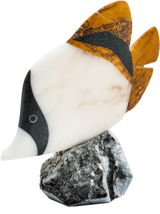 Tropical Fish - Previous - Next - Bufflehead (683x900), Png Download