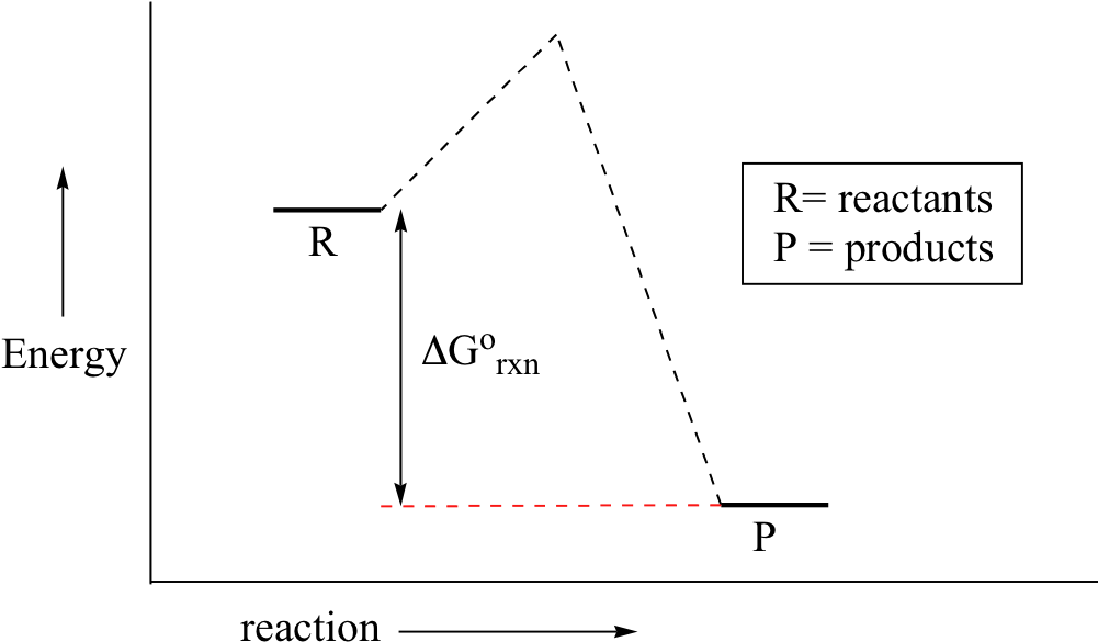 Despite Its Apparent Simplicity, This Energy Diagram - Disney Consumer Products (1020x612), Png Download