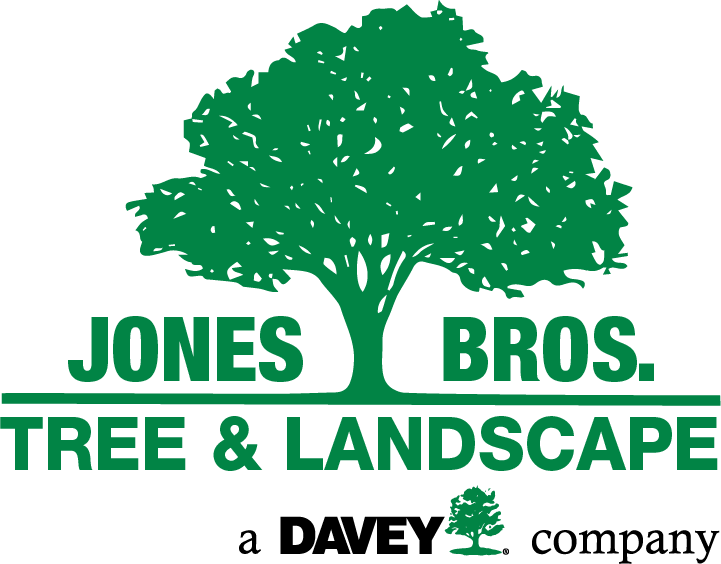 Davey Tree Expert Co (721x564), Png Download