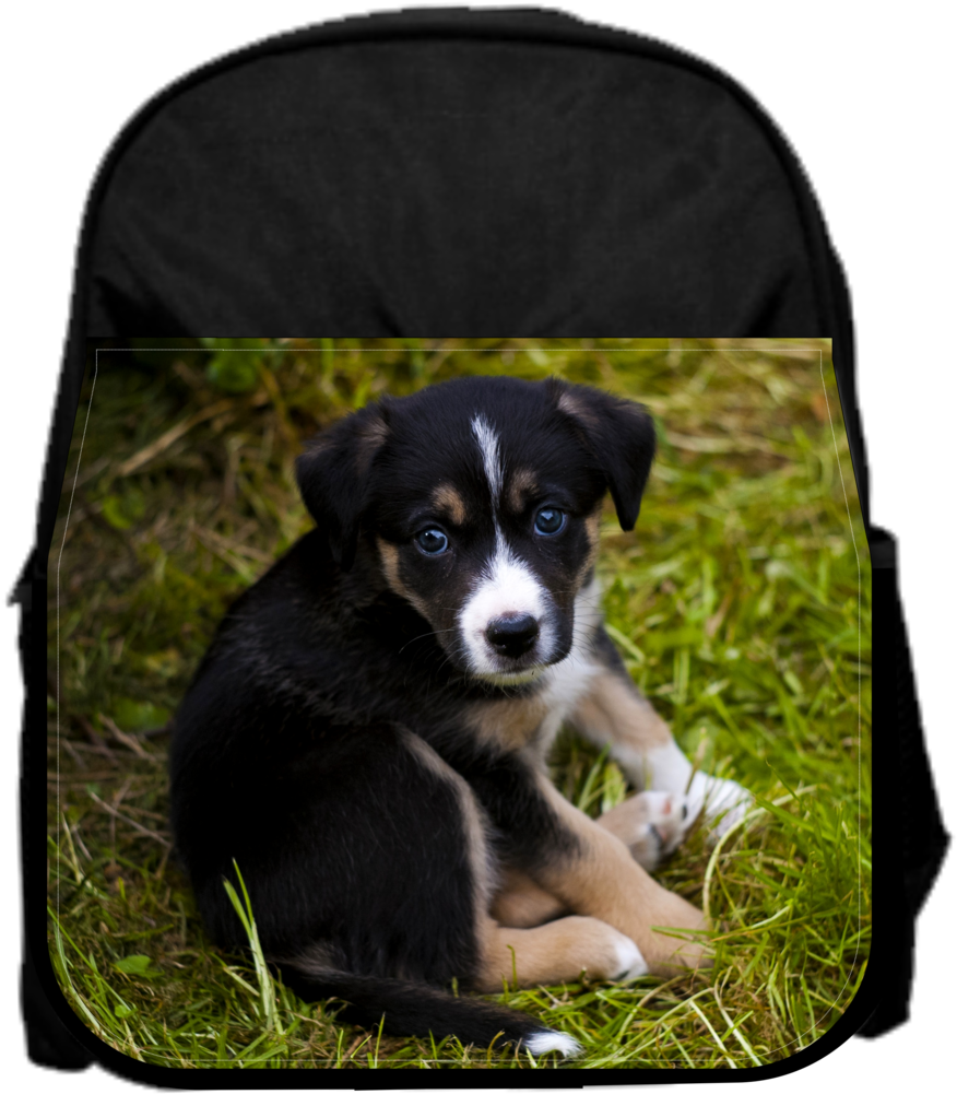 Sad Puppy 13" X 10" Black Preschool Toddler Children's - Cockerspanielin Ja Shetlanninlammaskoiran Risteytys (895x1024), Png Download