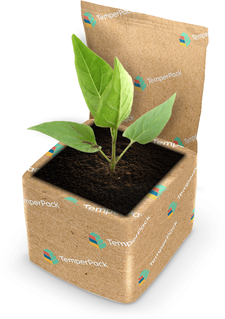 Sustainable Plant Package - Flowerpot (750x1065), Png Download