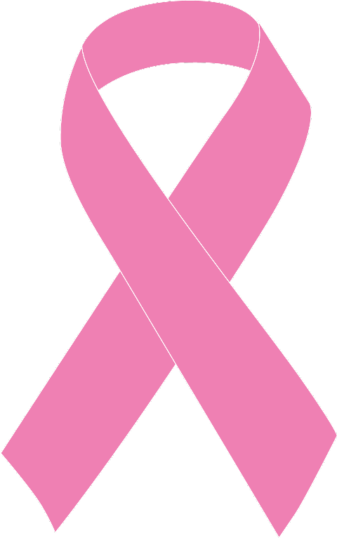 Scarf (480x766), Png Download