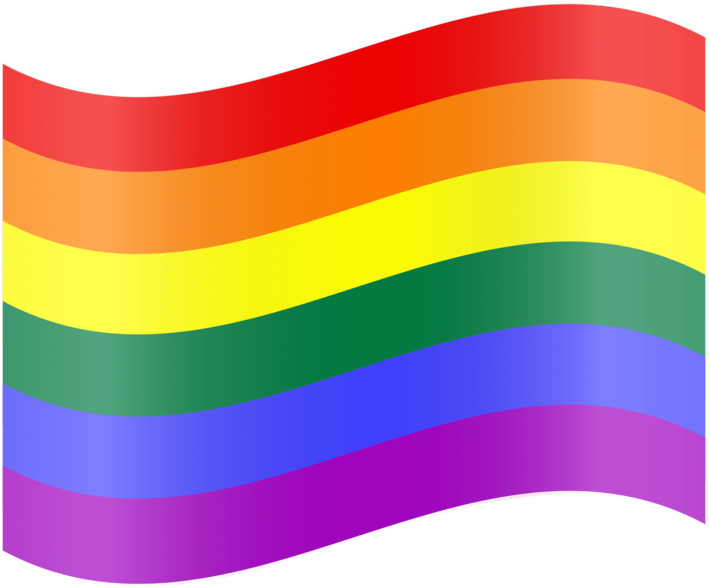 Gay Flag - Lgbt Flag Png (800x640), Png Download