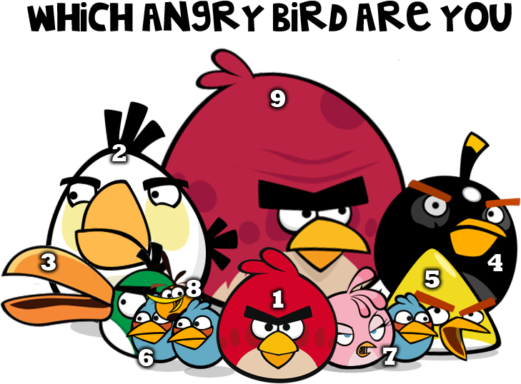 Angry Birds Flock By Jeremiekent13-d5lc45k - Angry Birds Game Birds (753x595), Png Download