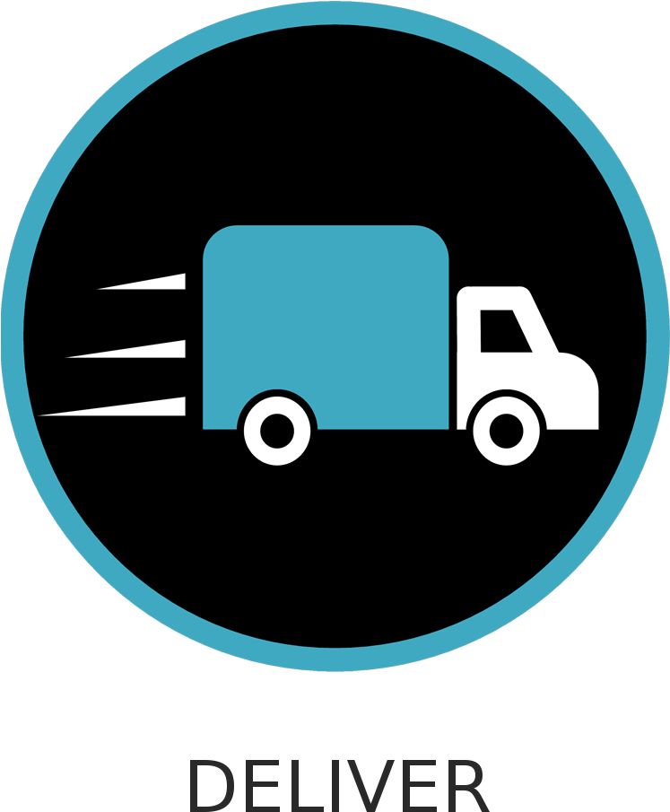 Delivering Antibiotic Susceptibility In Vivo - Delivering Icon (748x943), Png Download