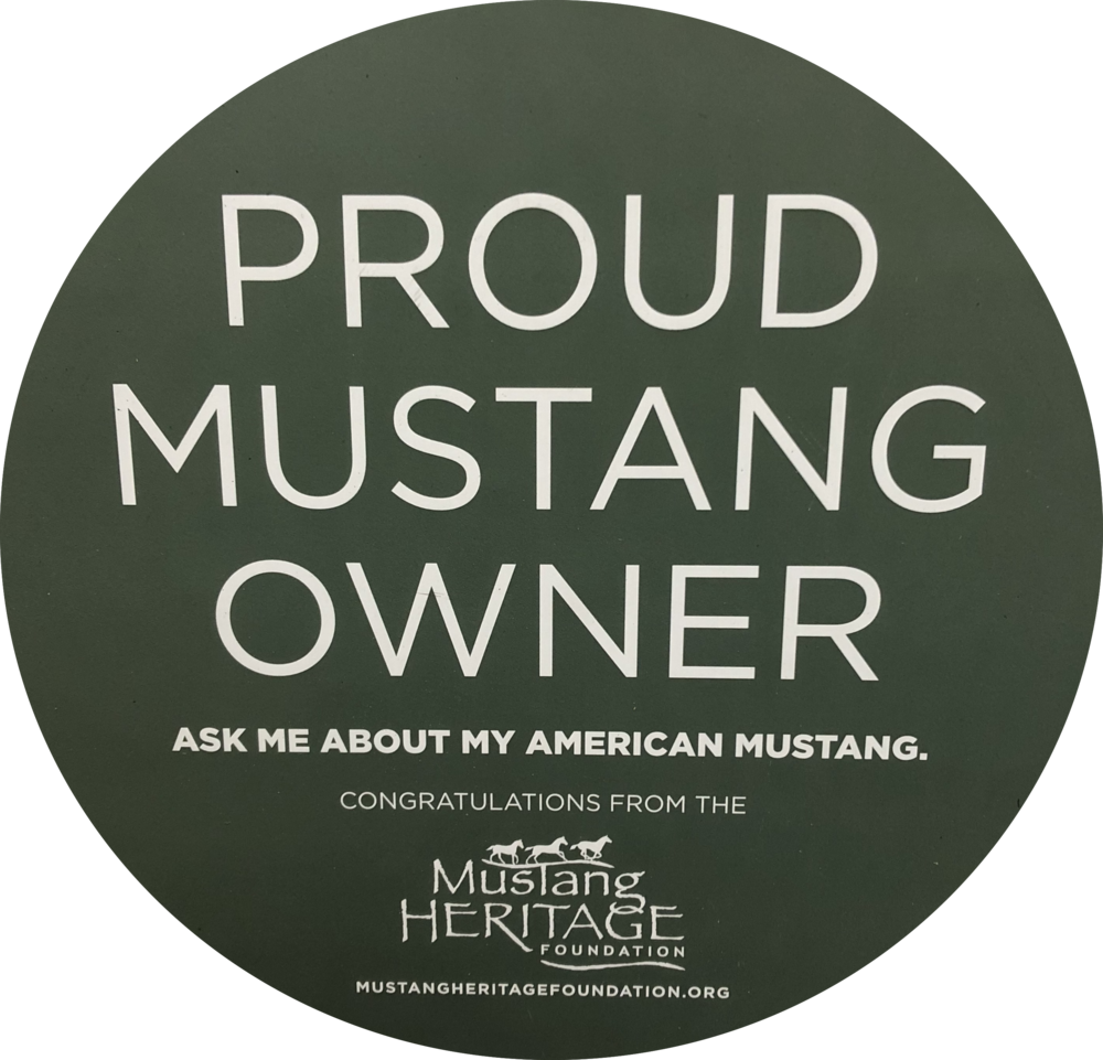 Circle (1000x961), Png Download