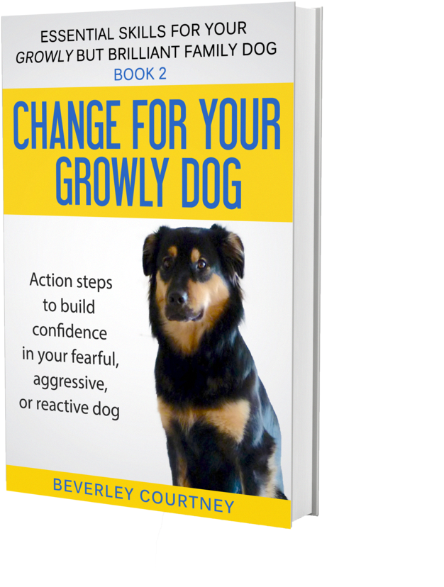 Dog Training Books, Leash Training, Online Dog Training, - Rottweiler (750x910), Png Download