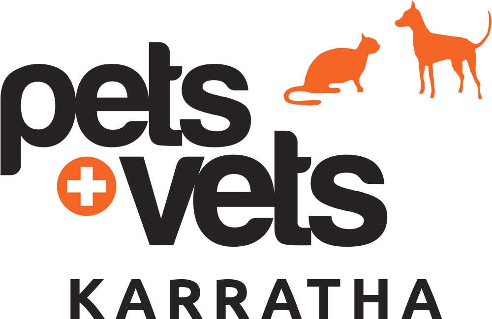 Microchipping - Camel (1181x827), Png Download