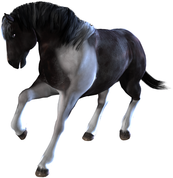 Home / Poser And Daz Studio Content / Horses / Daz - Transparent Horses Png Animated (702x718), Png Download