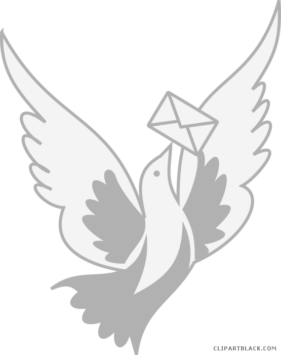 Wonderful Dove Animal Free Black White Clipart Images (555x700), Png Download