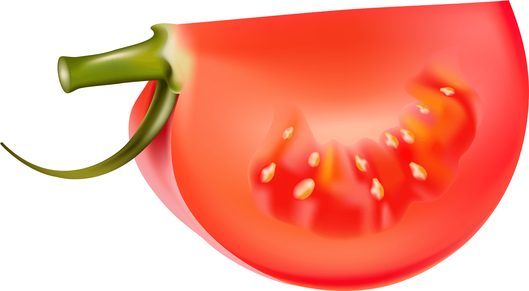 Download - Vegetables Vector Free (1950x1073), Png Download