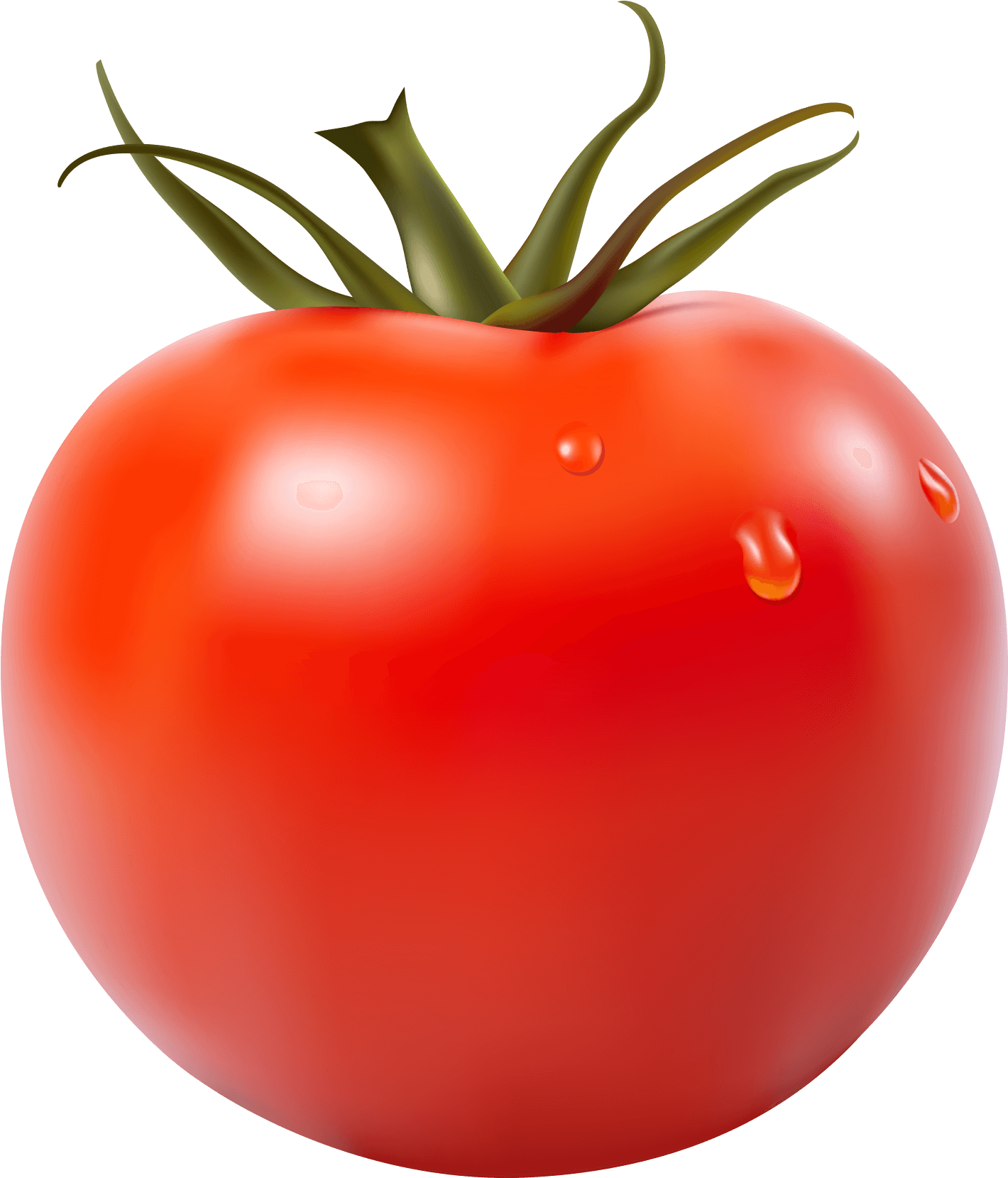 Download - Tomato Sauce Labels (1911x1857), Png Download