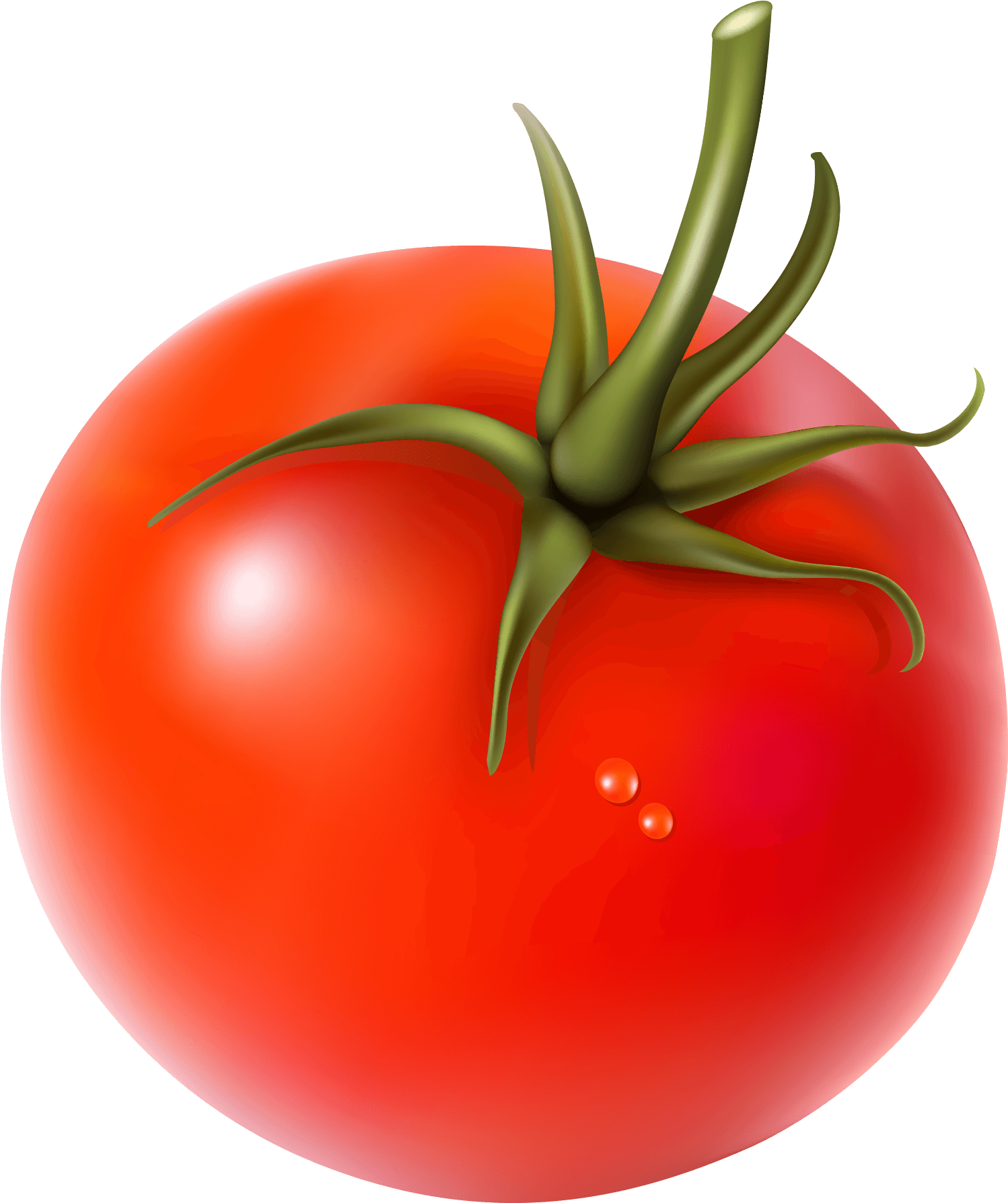 Картинка овощей по отдельности. Овощи помидор. Овощи и фрукты по отдельности. Овощи клипарт. Нарисовать помидор.