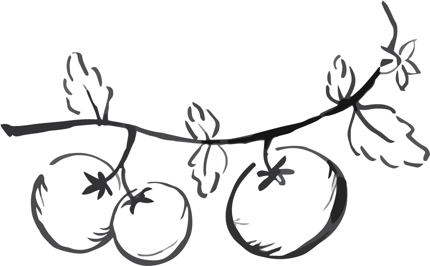 Tomato Tart - Line Art (2235x1005), Png Download