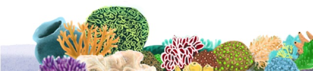 Coral Reef Clipart Transparent Background - Coral Reef Png (640x480), Png Download
