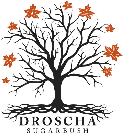 Syrup Clipart Maple Sugar - Tree With Roots Svg Free (534x624), Png Download